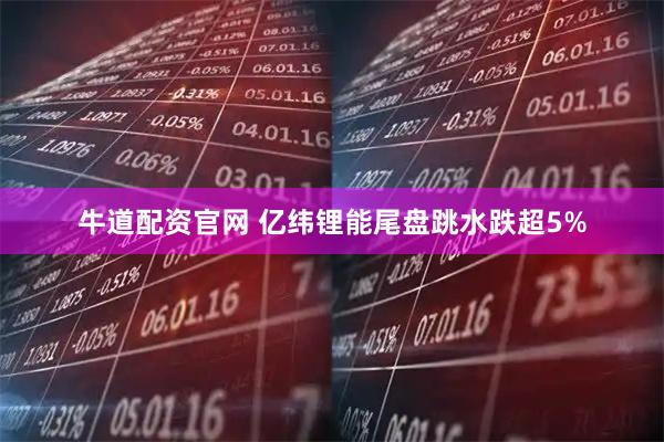 牛道配资官网 亿纬锂能尾盘跳水跌超5%