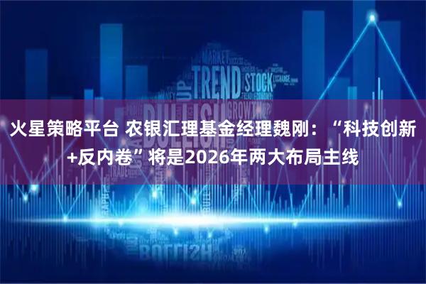 火星策略平台 农银汇理基金经理魏刚：“科技创新+反内卷”将是2026年两大布局主线