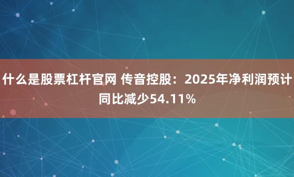 什么是股票杠杆官网 传音控股：2025年净利润预计同比减少54.11%